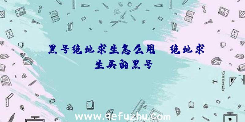 「黑号绝地求生怎么用」|绝地求生买的黑号
